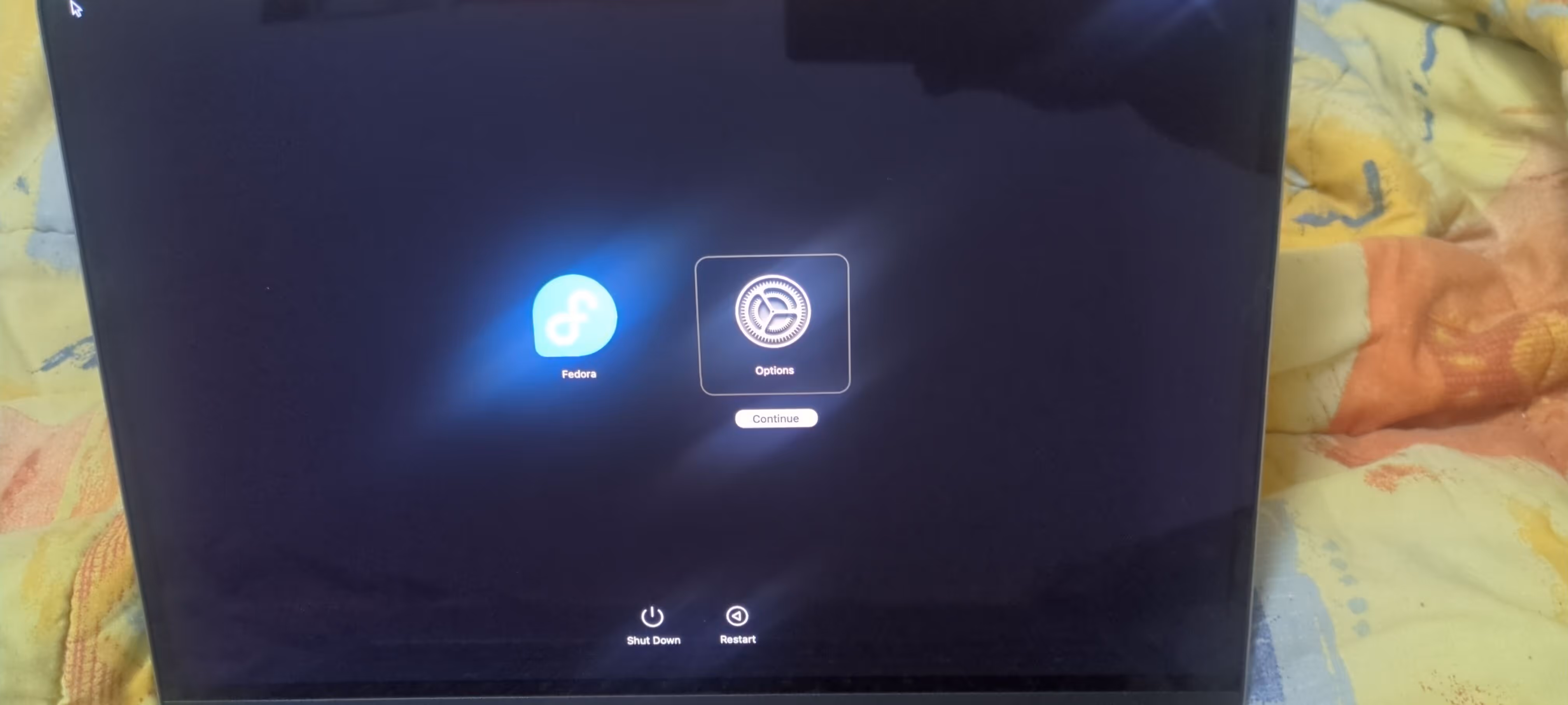 Mac startup options with no macOS